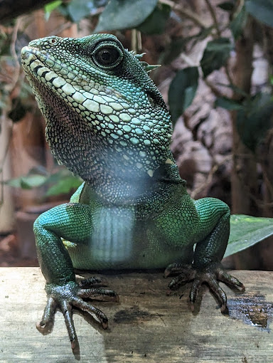 Espace Zoologique Exoticamis, lieu d'événement d'entreprise en Tarn