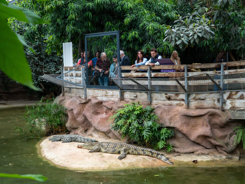 Ferme aux Crocodiles, séminaire d'entreprise, Drôme