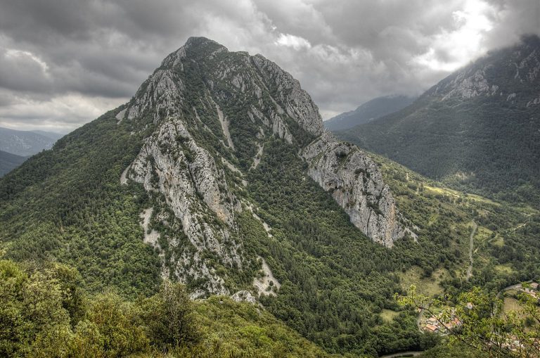 Forêt de Boucheville, événement d'entreprise Pyrénées-Orientales