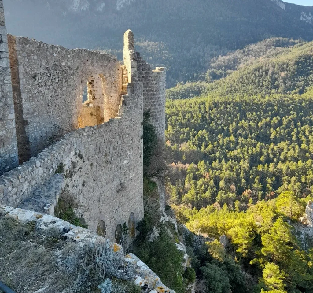 Forêt de Boucheville, séminaire d'entreprise, Pyrénées-Orientales