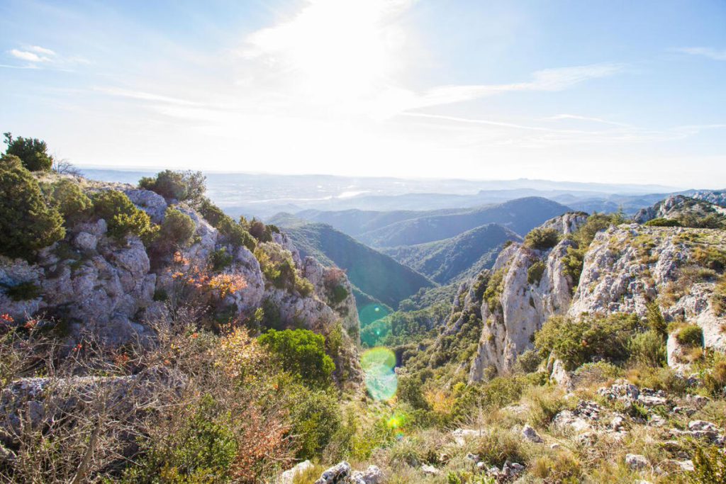 Forêt de Cèdres du Luberon, espace séminaire pour entreprise en Vaucluse