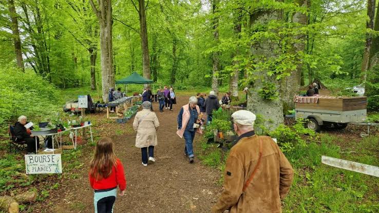 Forêt de Crécy, événement d'entreprise Somme