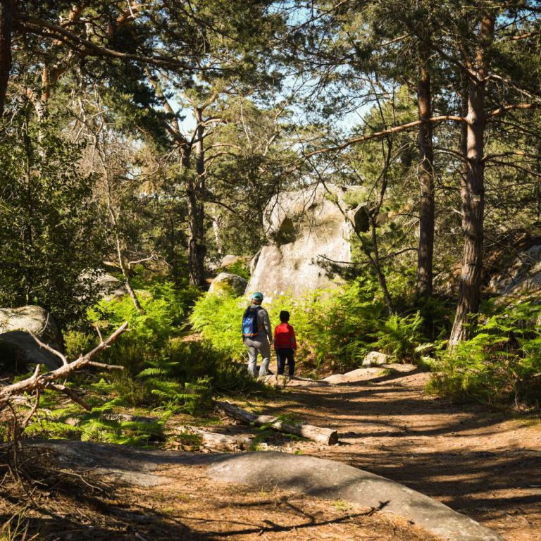Forêt de Fontainebleau, événement d'entreprise Seine-et-Marne