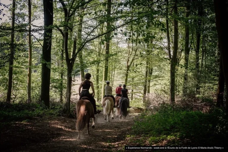 Forêt de Lyons & Écurie de la Forêt, événement d'entreprise Seine-Maritime