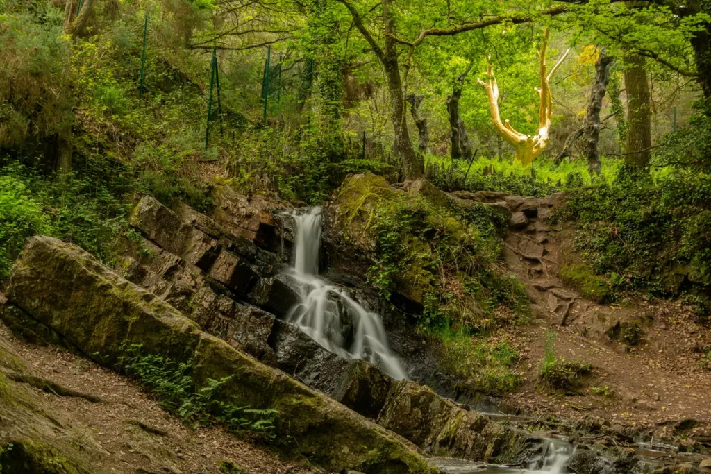 Forêt de Paimpont / Brocéliande, séminaire d'entreprise, Loiret