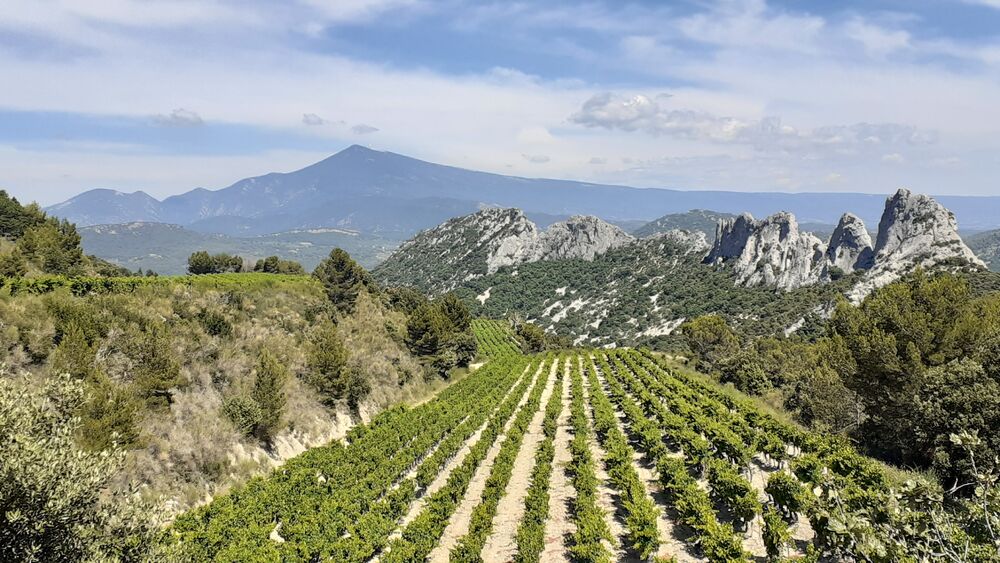 Gigondas Lacave, lieu d'événement d'entreprise en Vaucluse