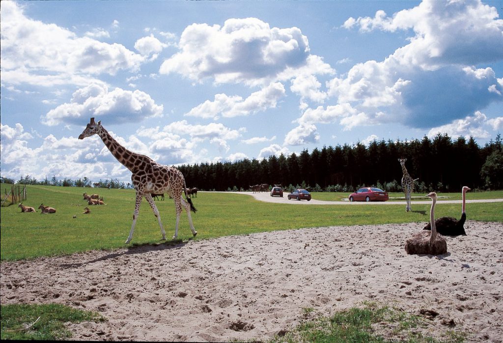 Givskud Zoo (zootopia), espace séminaire pour entreprise