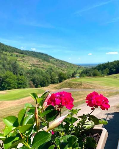 Golf d'Ammerschwihr (ugolf Ammerschwihr Trois-Épis), espace séminaire pour entreprise en Haut-Rhin
