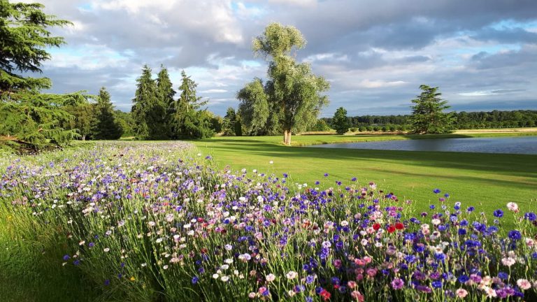 Golf de la Bosse, événement d'entreprise Loir-et-Cher