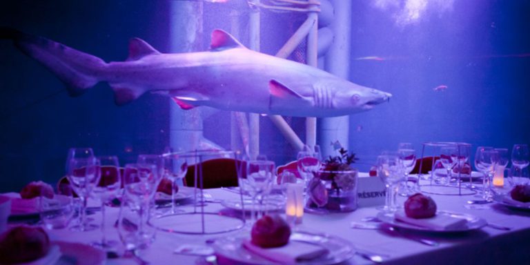 Grand Aquarium de Saint-Malo, événement d'entreprise Ille-et-Vilaine