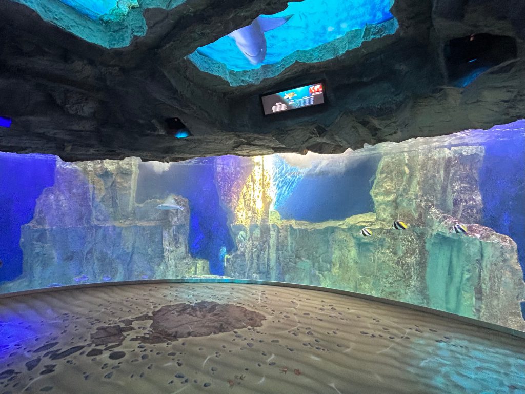 Grand Aquarium de Saint-Malo, espace pour événement d'entreprise, Ille-et-Vilaine