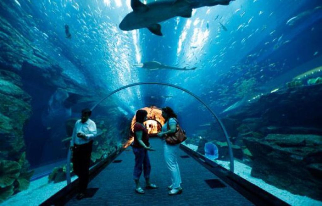 Grand Aquarium de Saint-Malo, espace séminaire pour entreprise en Ille-et-Vilaine