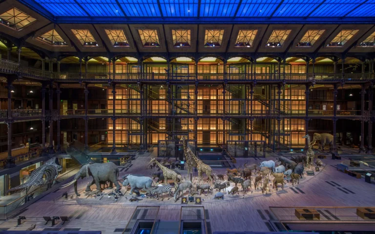 Grande Galerie de l&rsquo;Évolution, événement d'entreprise Paris