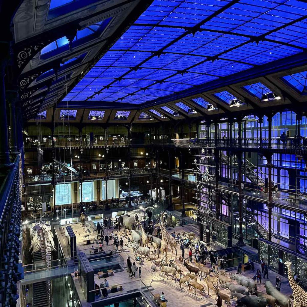 Grande Galerie de l'Évolution, événement d'entreprise en Loire