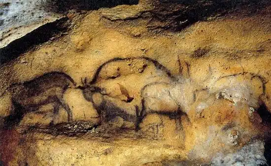 Grotte de Font-de-Gaume, espace pour événement d'entreprise, Dordogne