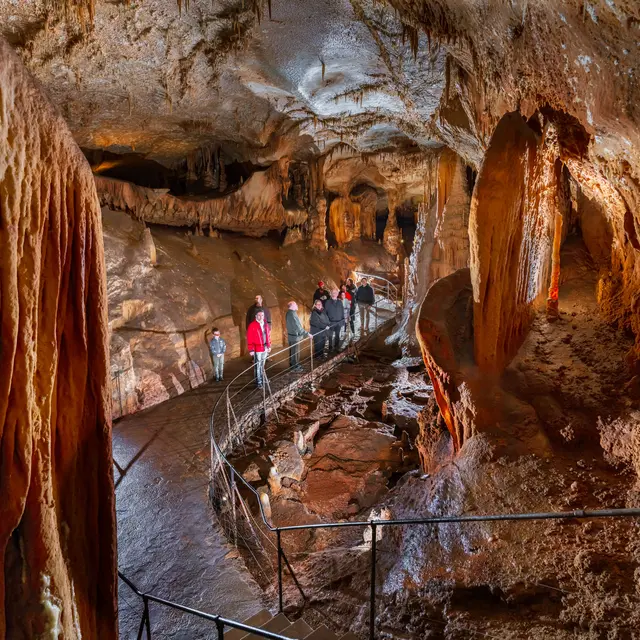 Grotte du Pech Merle, séminaire d'entreprise, Lot