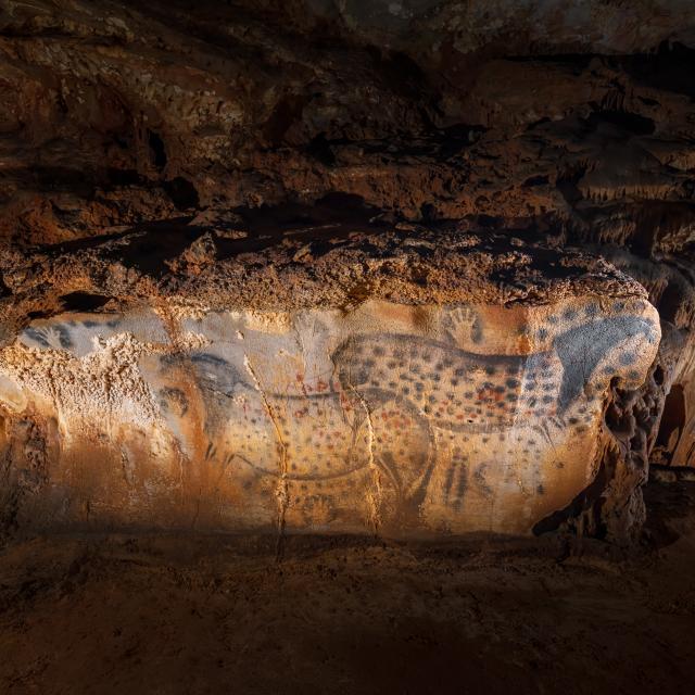 Grotte du Pech Merle, espace séminaire pour entreprise en Lot