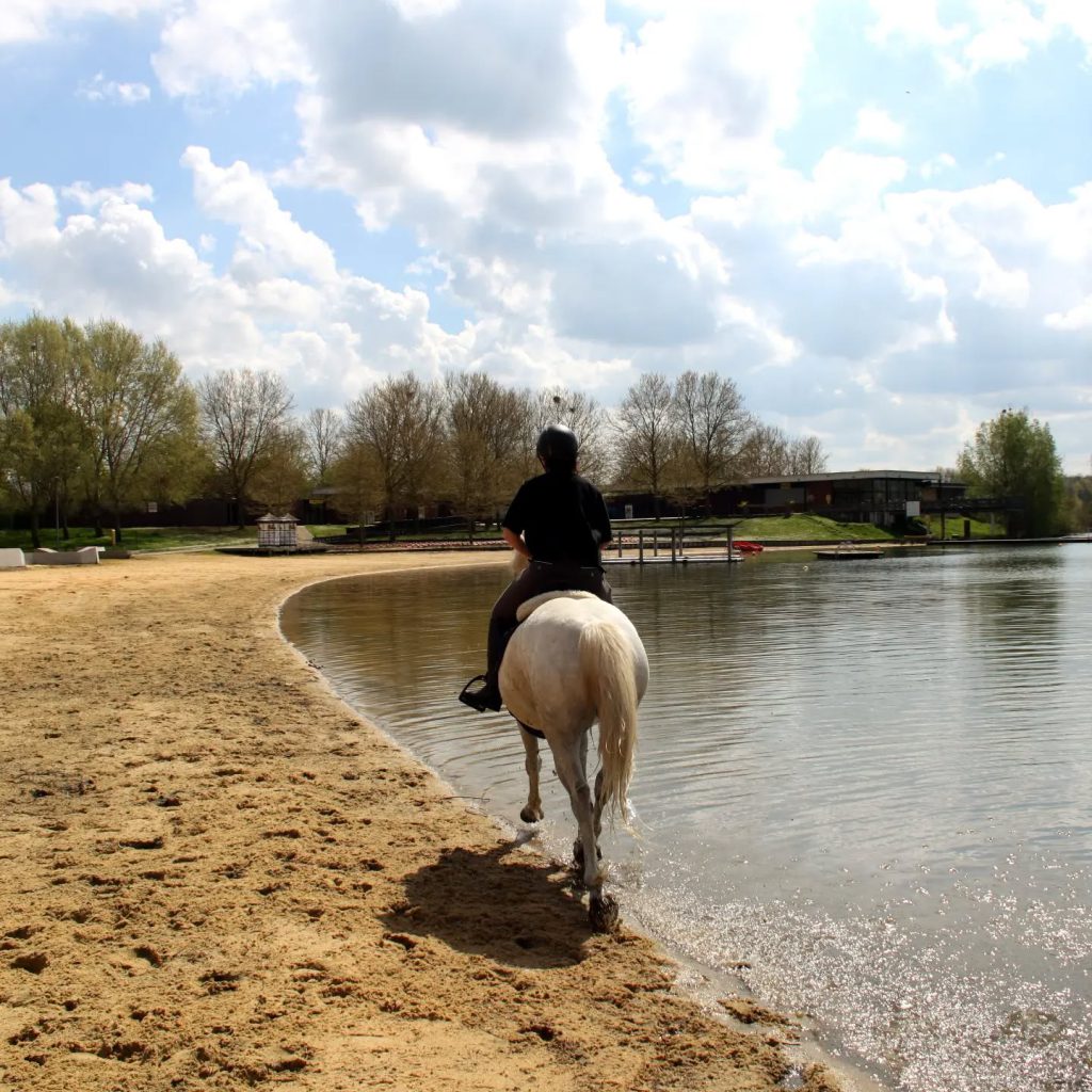 Île de Loisirs de Vaires-Torcy (base Olympique), événement d'entreprise en Seine-et-Marne