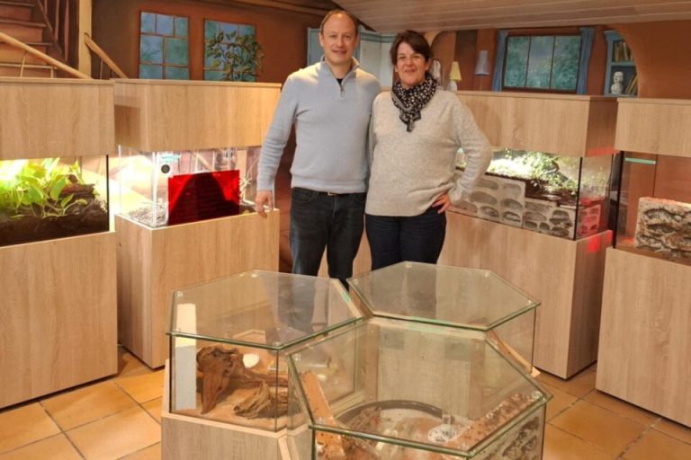Insectarium de Lizio, événement d'entreprise Morbihan