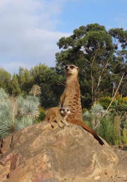 Jardin Zoologique Tropical, événement d'entreprise Var