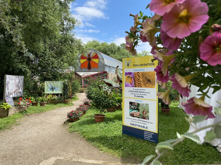 Jardins des Papillons Exotiques Vivants, événement d'entreprise Haut-Rhin