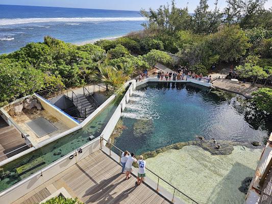 Kélonia, séminaire d'entreprise, La Réunion