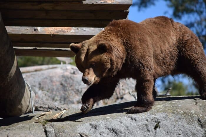 Kolmården Wildlife Park, événement d'entreprise 