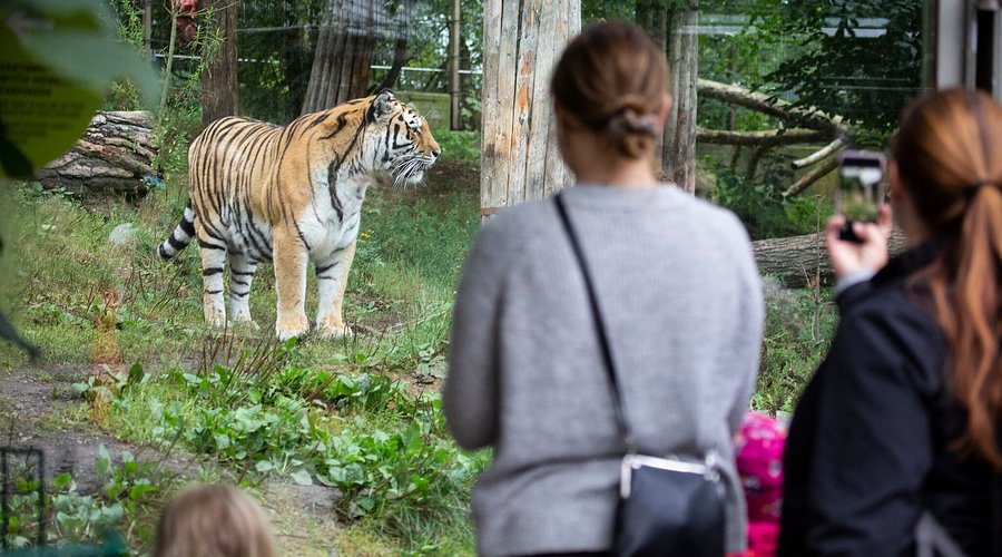 Korkeasaari Zoo, événement d'entreprise