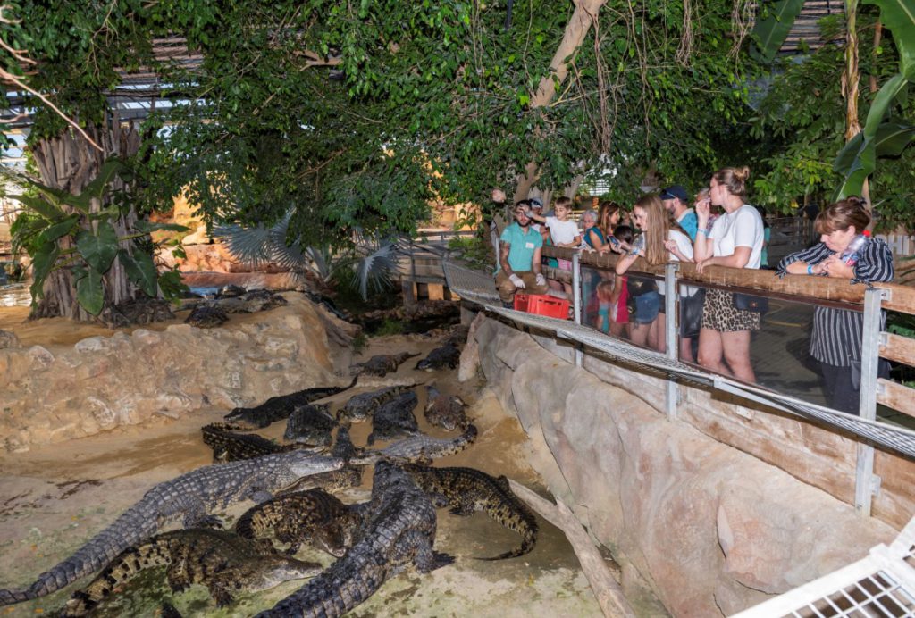 La Ferme aux Crocodiles, espace pour événement d'entreprise, Drôme