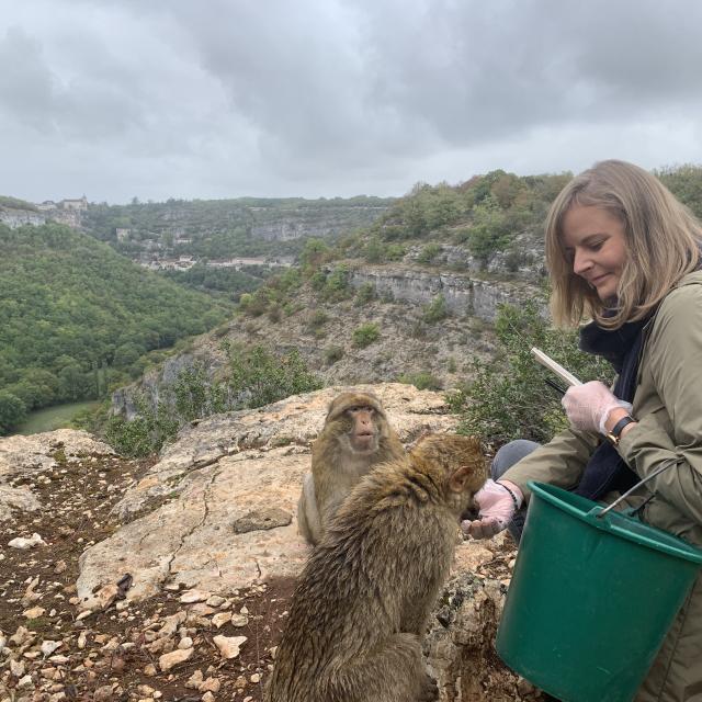 La Forêt des Singes, événement d'entreprise Lot