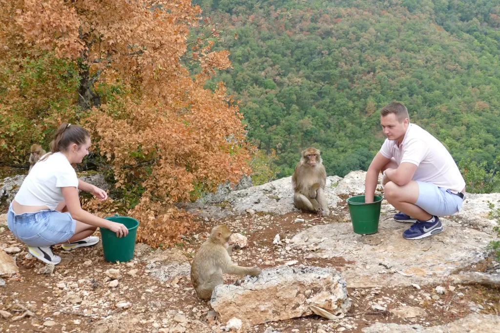 La Forêt des Singes, séminaire d'entreprise, Lot