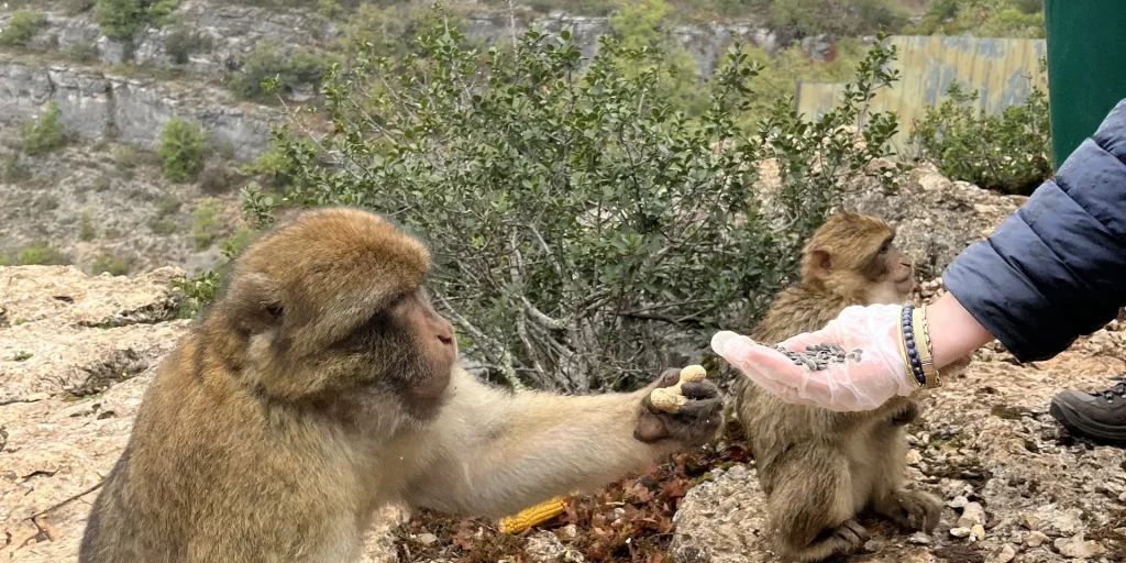 La Forêt des Singes, lieu d'événement d'entreprise en Lot
