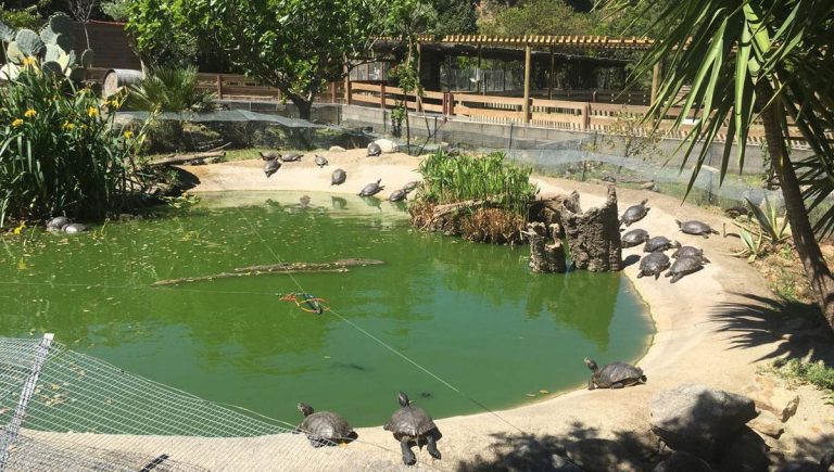 La Vallée des Tortues, lieu pour événement d'entreprise
