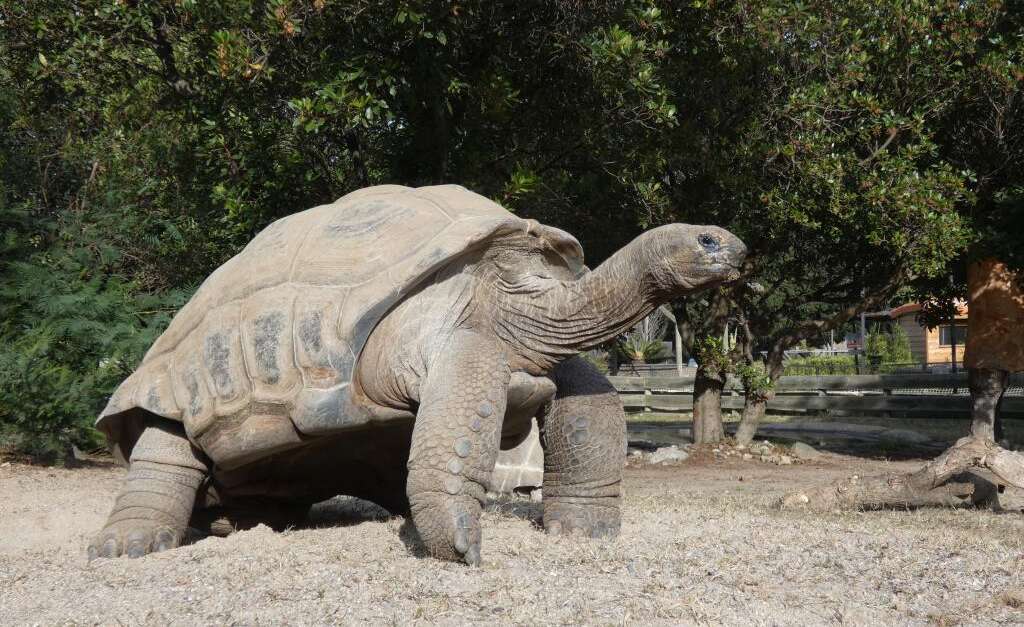 La Vallée des Tortues, lieu d'événement d'entreprise en Pyrénées-Orientales