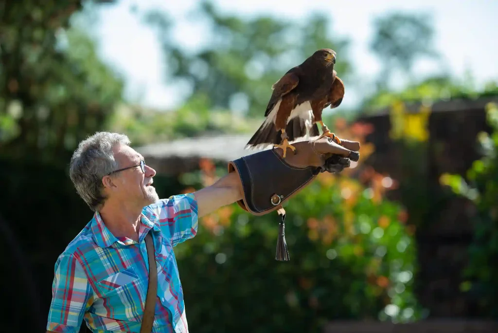 La Volerie des Aigles, lieu d'événement d'entreprise en Bas-Rhin
