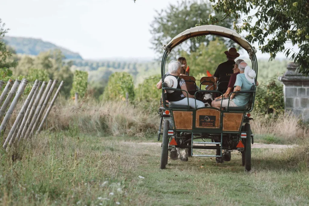 Langlois Crémant de Loire, lieu d'événement d'entreprise en Maine-et-Loire
