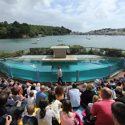L'Aquashow, lieu d'événement d'entreprise en Finistère
