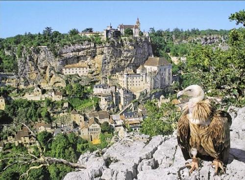 Le Rocher des Aigles, événement d'entreprise Lot