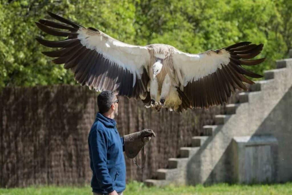 Le Rocher des Aigles, espace pour événement d'entreprise, Lot