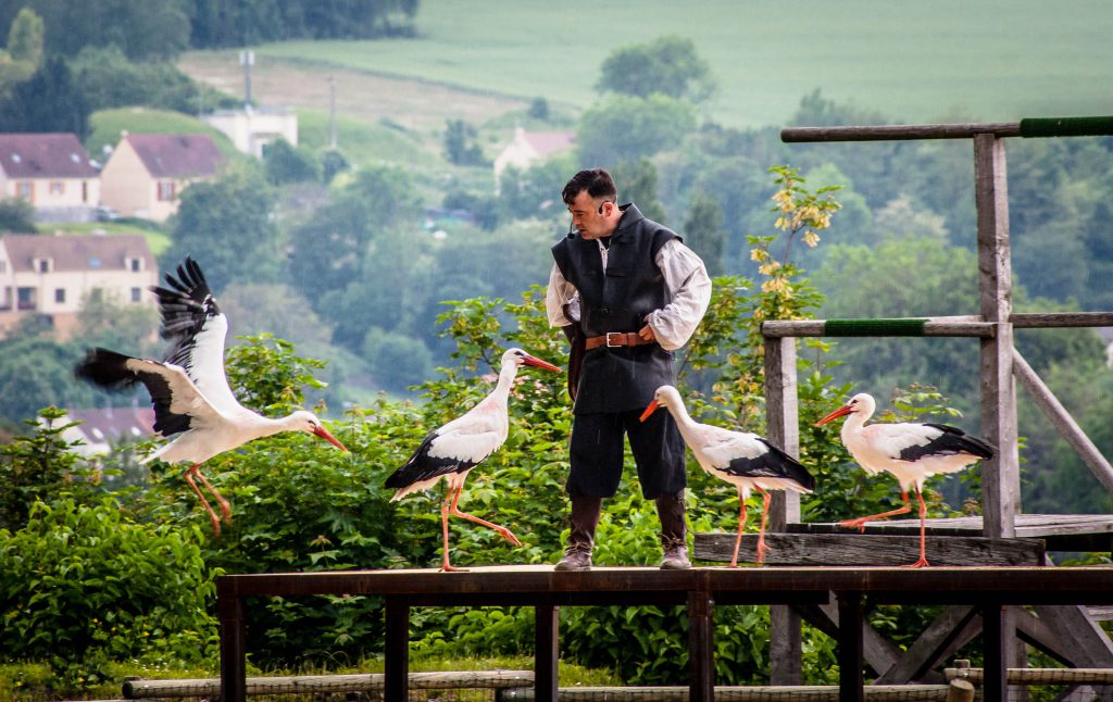 Les Aigles de Château-Thierry, séminaire d'entreprise, Aisne