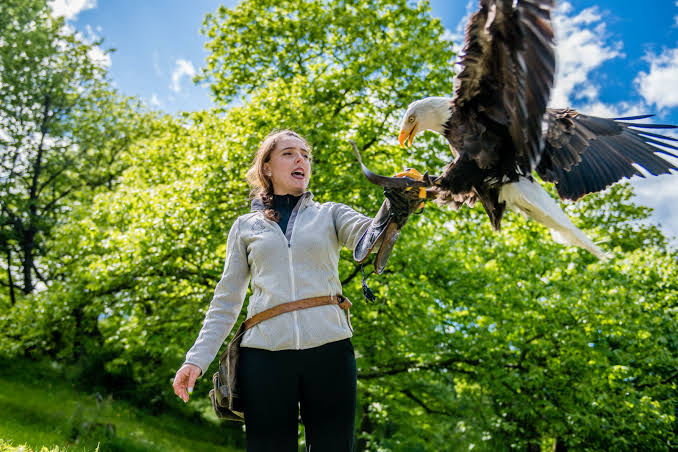 Les Aigles du Léman, lieu d'événement d'entreprise en Haute-Savoie