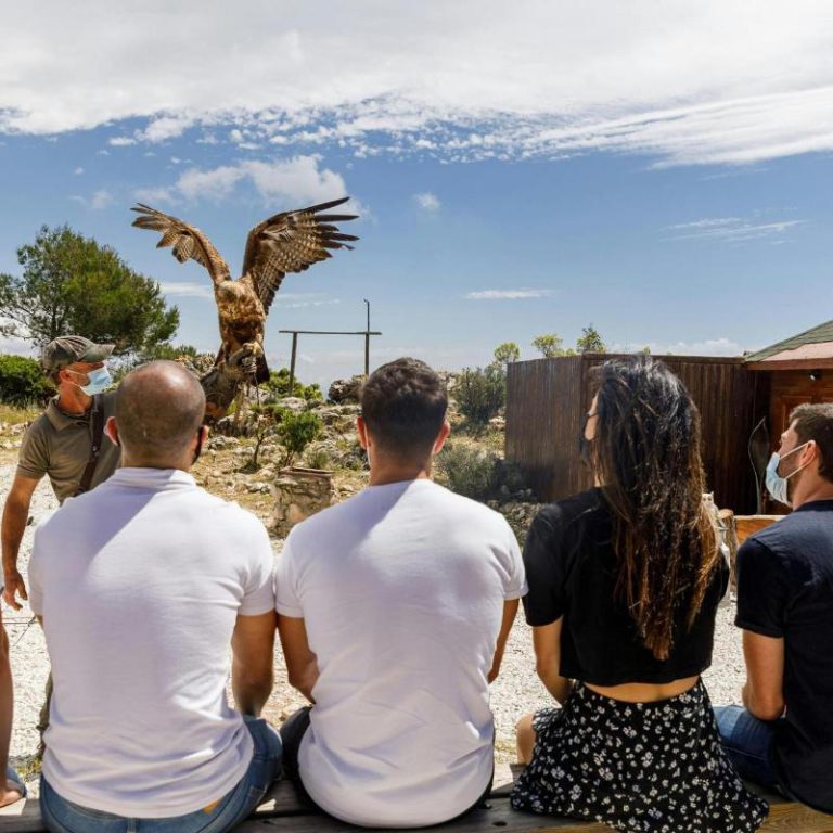 Les Aigles du Verdon, événement d'entreprise Alpes-de-Haute-Provence