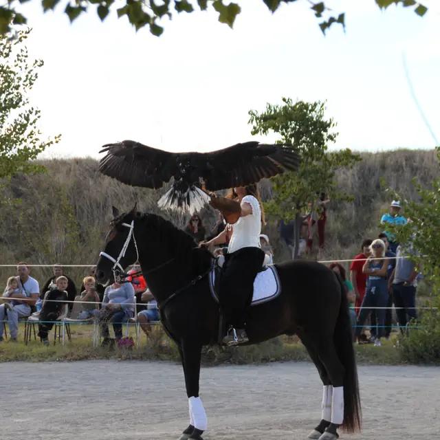 Les Aigles du Verdon, séminaire d'entreprise, Alpes-de-Haute-Provence