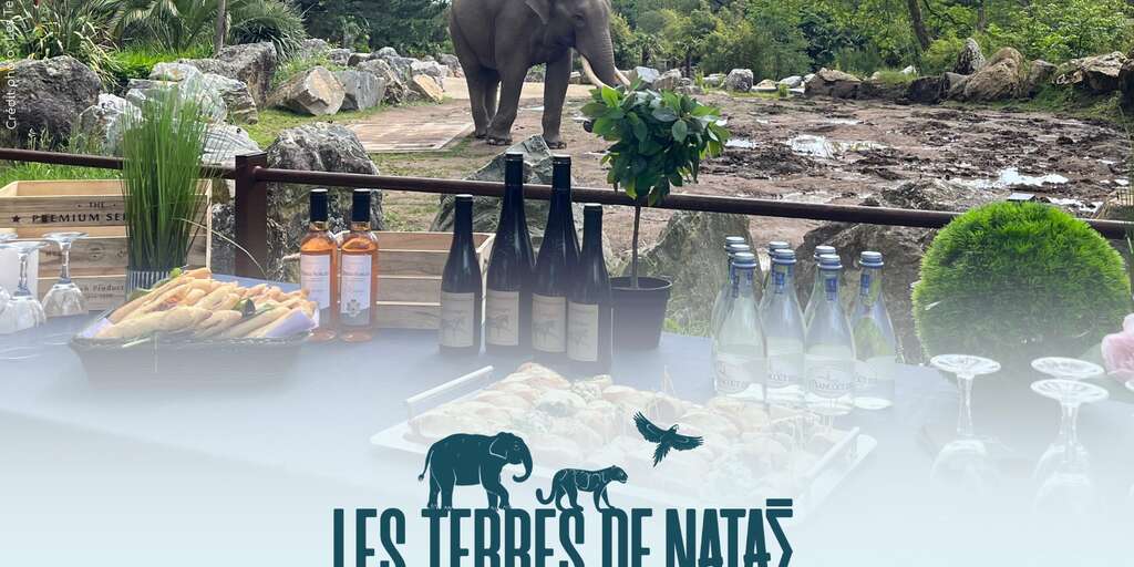 Les Terres de Nataé (ex-Zoo de Pont-Scorff), lieu d'événement d'entreprise en Morbihan