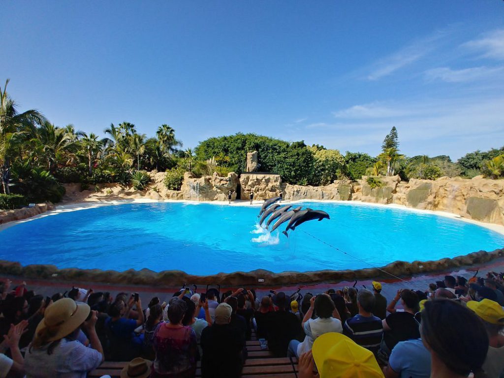 Loro Parque, événement d'entreprise