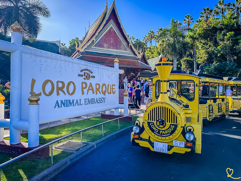Loro Parque, espace séminaire pour entreprise