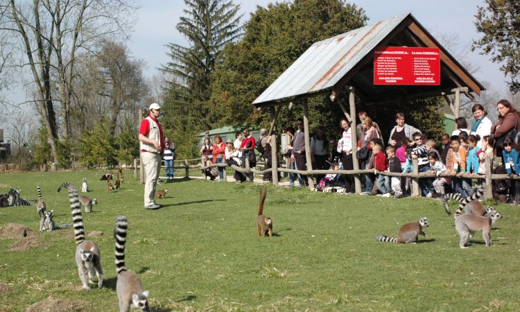 Lumigny Safari Reserve (ex Parc des Félins + Terre de Singes), lieu pour événement d'entreprise