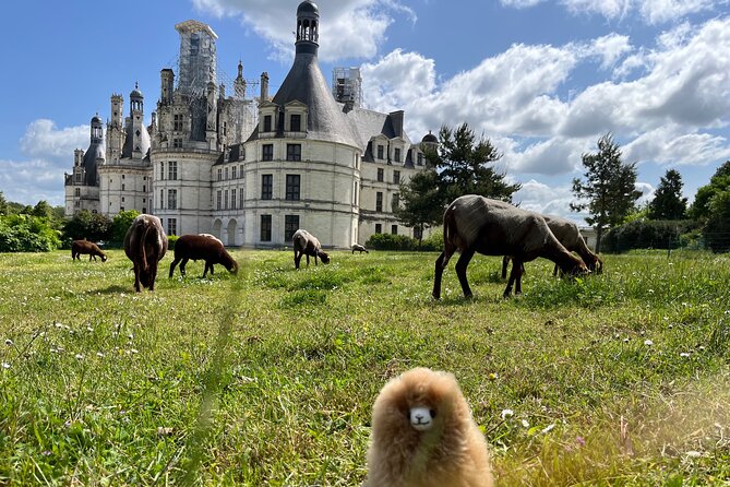Lutinopark, lieu d'événement d'entreprise en Eure-et-Loir