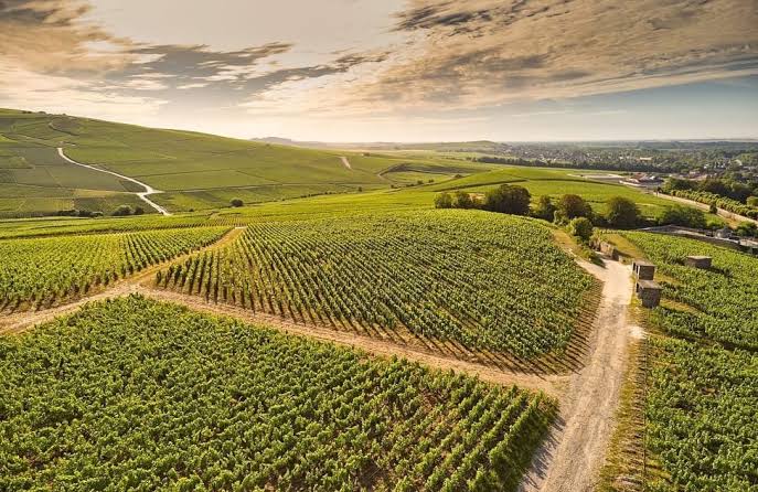 Maison Deutz, espace séminaire pour entreprise en Rhône