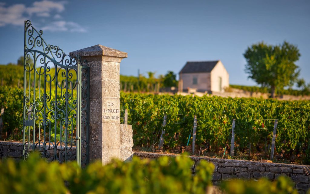 Maison Joseph Drouhin, événement d'entreprise en Côte-d'Or
